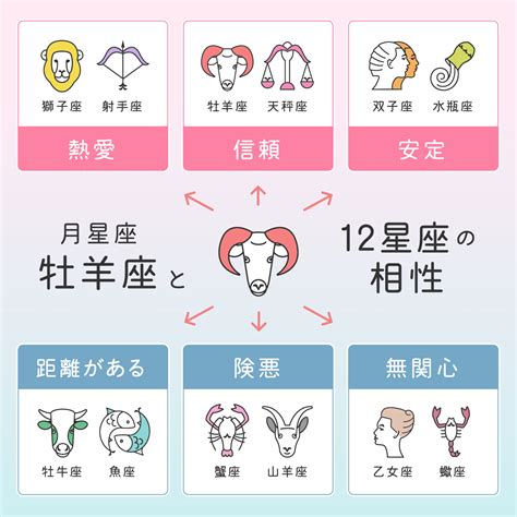 12月27日性格|12月27日生まれの性格は？星座・誕生花や2024運。